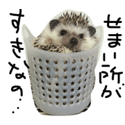 he age hog