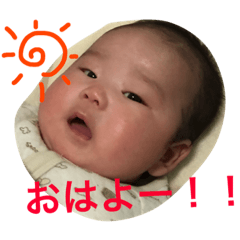 Piyo's "nichijo"