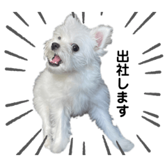 nanami_20220424011726