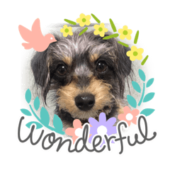 hikari_20220424094420