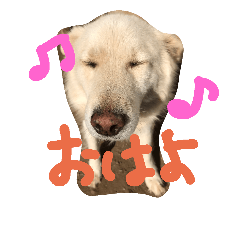 mukkukaranoaisatu
