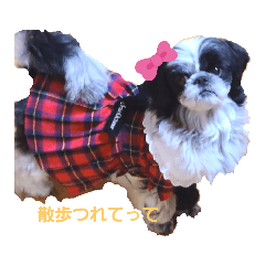 aoi_20220424150046