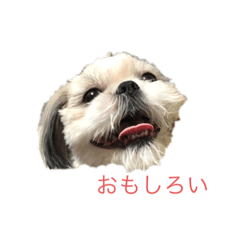 Nanami_20220424172137