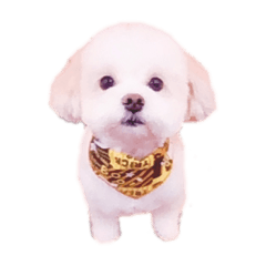 kaori_20220424184055
