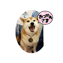 Ayumi_20220424173615