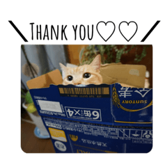 yun_20220424174529