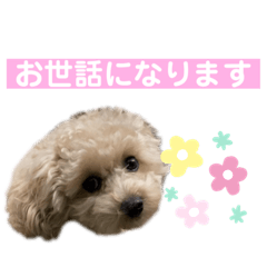 nanami_20220424174824