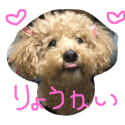 choco@