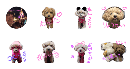choco@