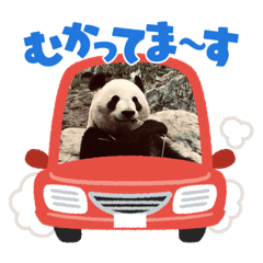 京子京子