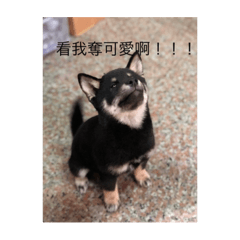 麻吉日常啊！！！