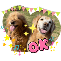 ayumi_20220424153644