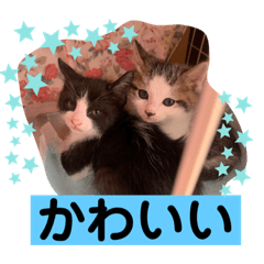 sayuri_20220424234613