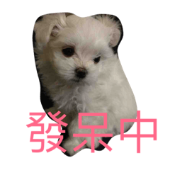 嚕咪
