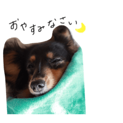 shiho_20220425035508