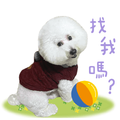 肉包專屬貼圖 ❤️