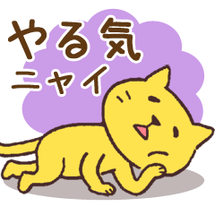 Loose yellow cat