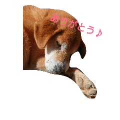 yukki15