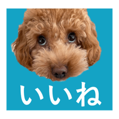 hana_20220425103028