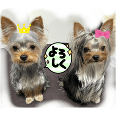 yukari_20220425124956