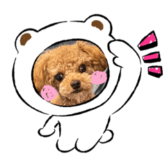 aoi_20220425132819