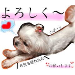 L0VE MIMI