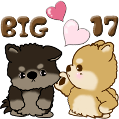 【Big】ちゃちゃ丸 17『♥がいっぱい』