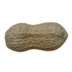 Food Series : Some Peanut #2