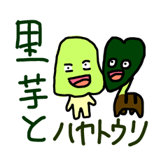 里芋の葉とハヤトウリ