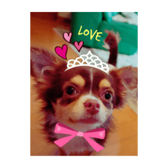 Sherrychan.