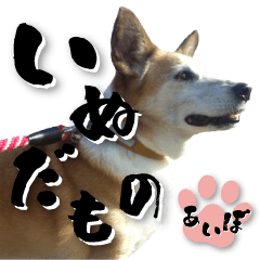 Chikuwa-dog AIBO