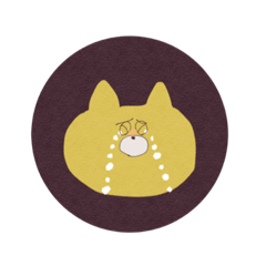 yellow cat !
