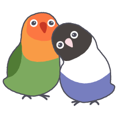 牡丹鸚鵡 呦比的朋友