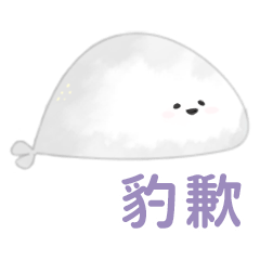 seal animal