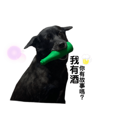 尼哥的小可愛們