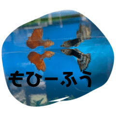 Kaori_20220425155004