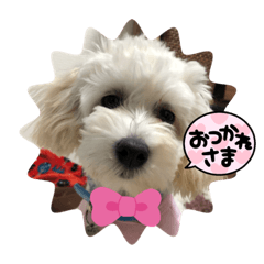 miki_20220425194731