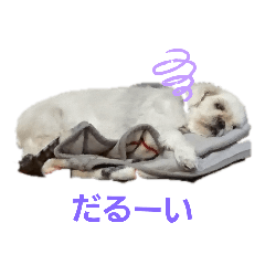 aoi_20220425234635