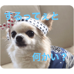 Chris_20220426085908
