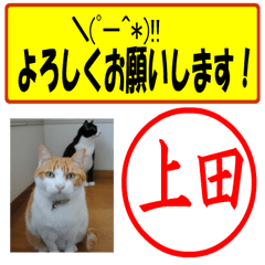 Use your seal No1(For Ueda)