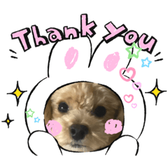 AYUMI_20220426021444