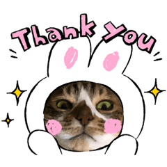 menchan_20220426013137