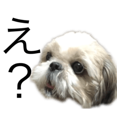 Nanami_20220425221812