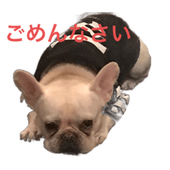 haburu