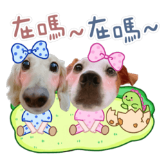 樂Q豆の恐龍時代