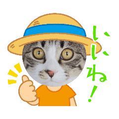 ルーちゃんとその他