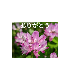 hana_20220426130314