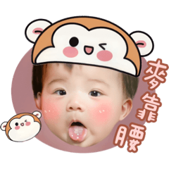 阿樂動物大集合