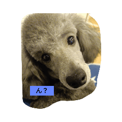 ai_20220426144344