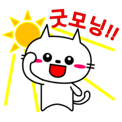 White cat's conversation (Korean)